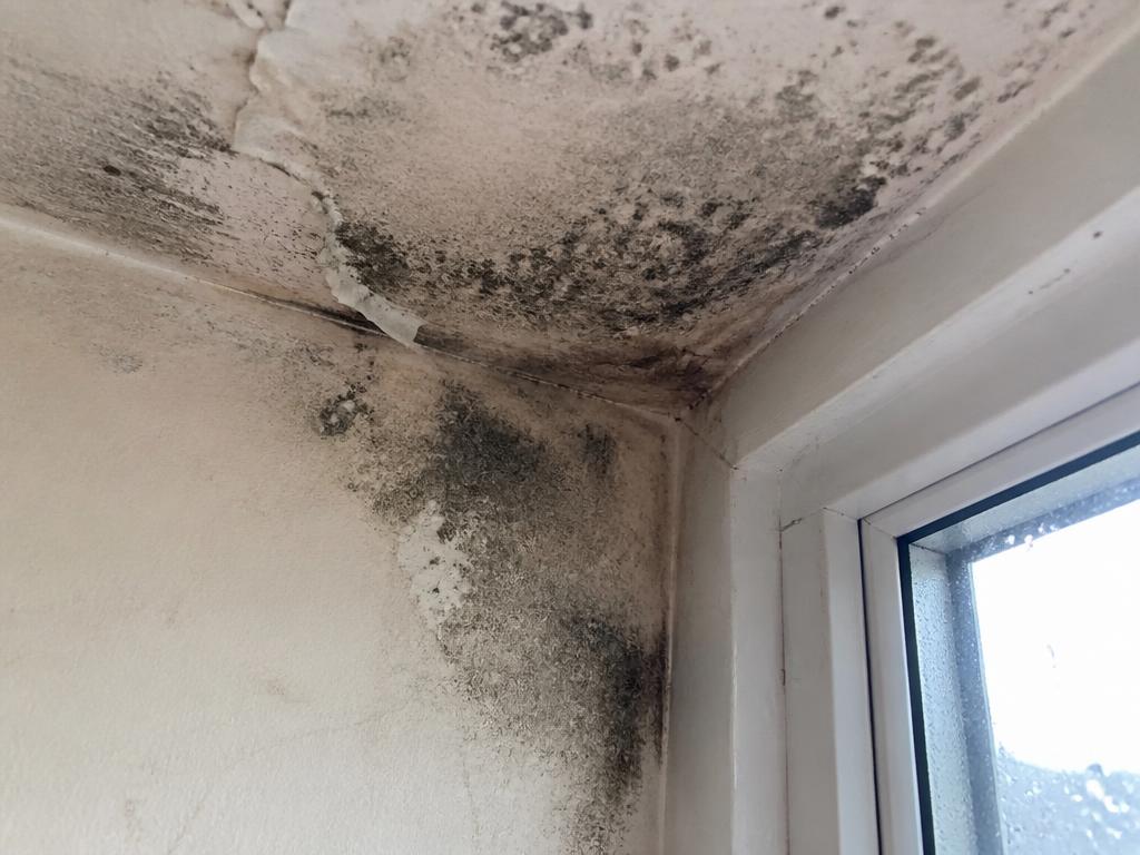 Bedroom 2 - mould growth noted while on site, not reported by tenant